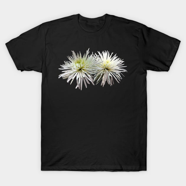 Two White Spider Mums T-Shirt by SusanSavad